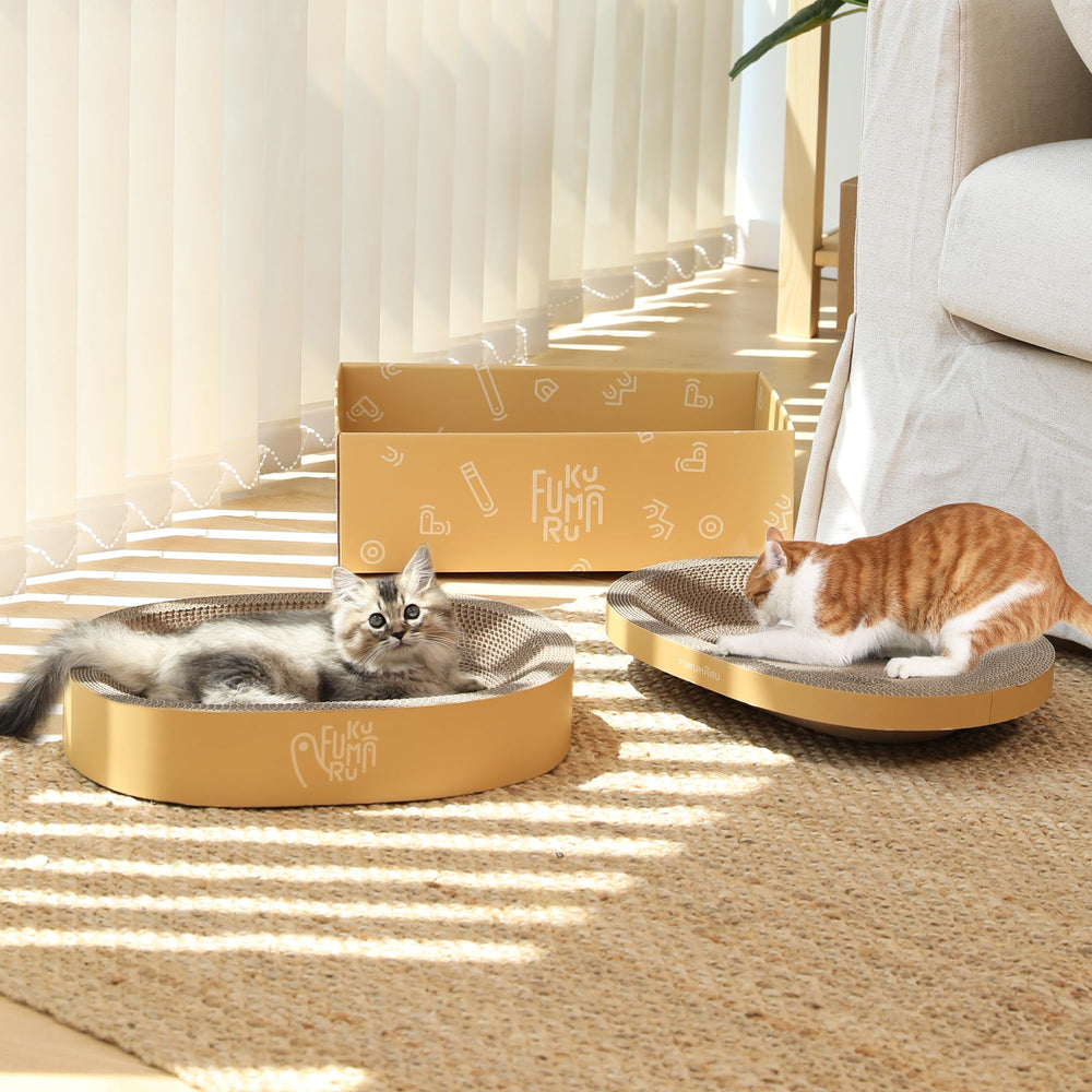 FUKUMARU design-ergonomique-chat: promesse de confort sans compromis