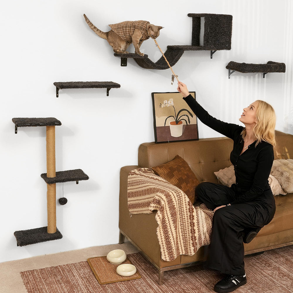 Espace de jeu vertical FUKUMARU pour chat, stimulation active.