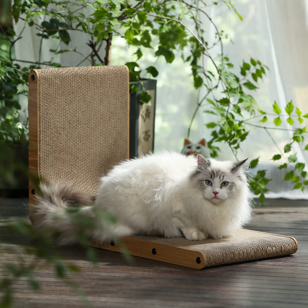 Grattoir FUKUMARU carton recyclable – choix écologique pour animaux.