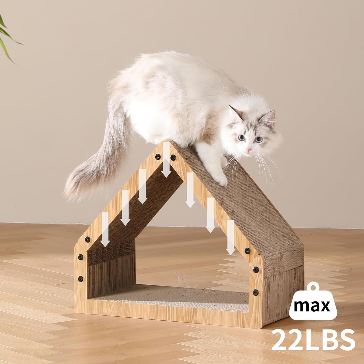 Grattoir en tunnel pour plusieurs chats et jeux supervisés
