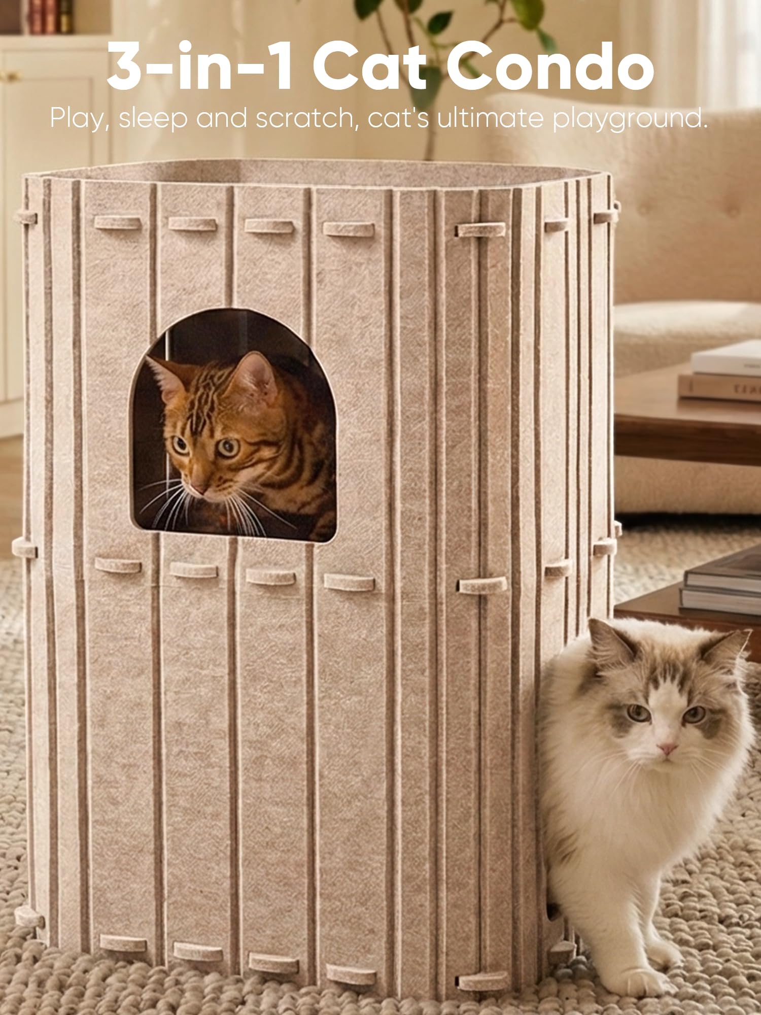 FUKUMARU maison-chat intérieur tunnel double entrées, jeu social.