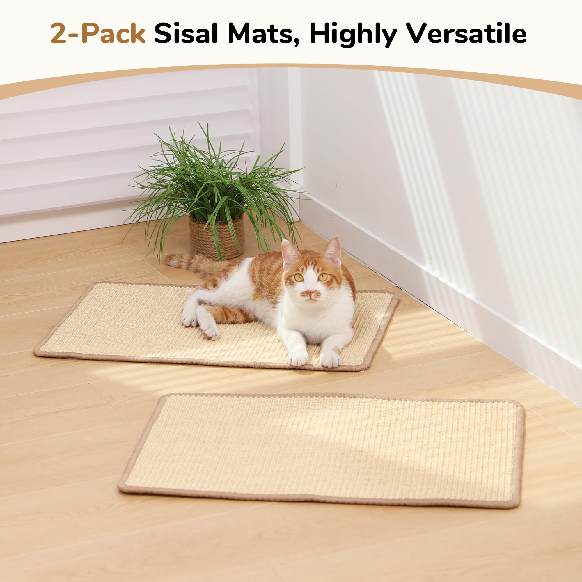 Tapis durable FUKUMARU conçu pour l’usage quotidien des chats.