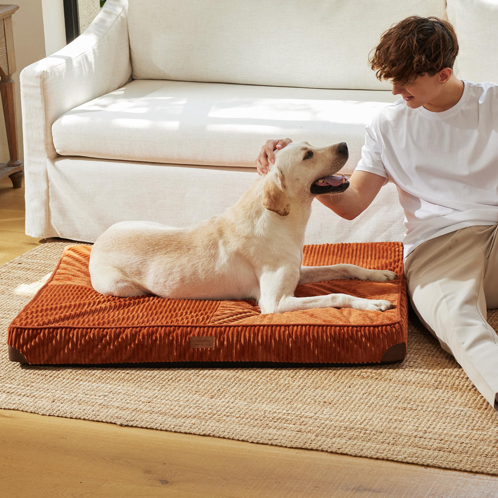 Couleur orange chaude pour une touche cosy.