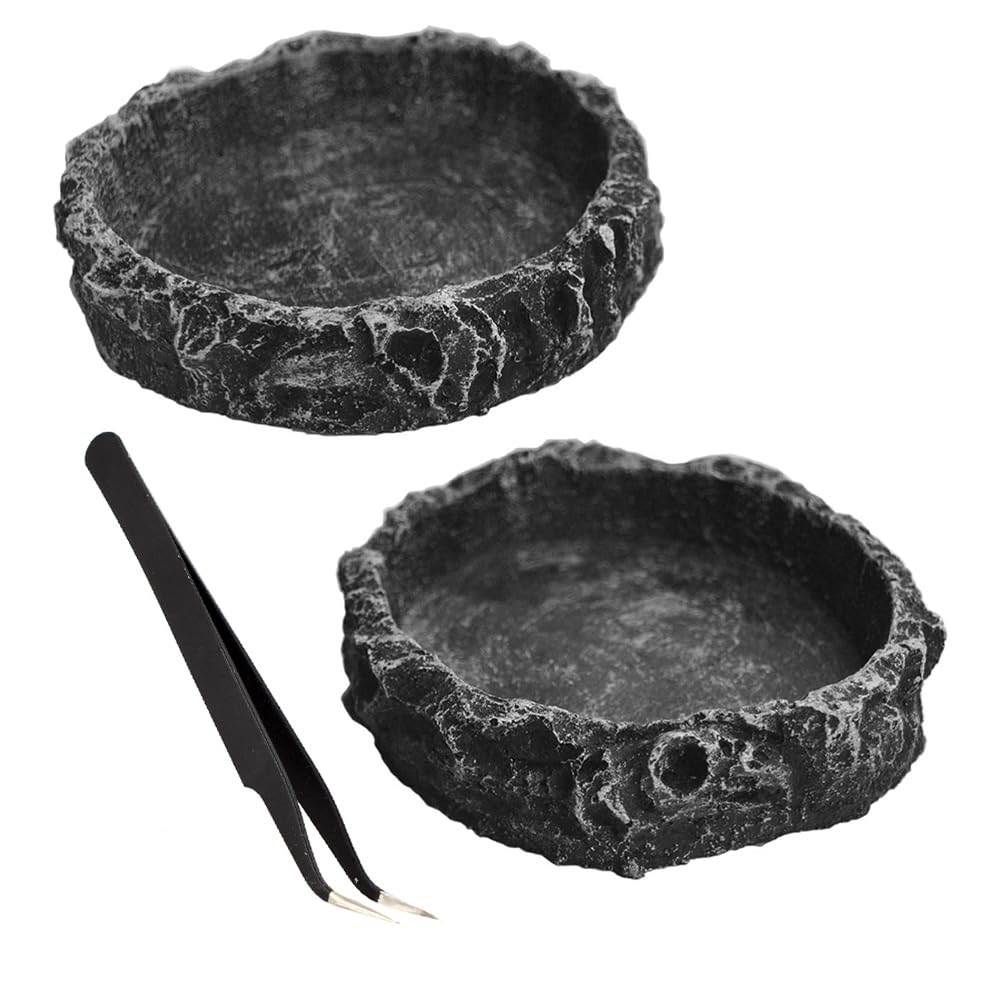 Bol eau Fulanfudi Style 1, robuste et stable pour l'hydratation quotidienne des reptiles.