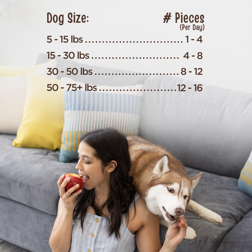 Full Moon sachet-portions: portions faciles pour chien lors de déplacements