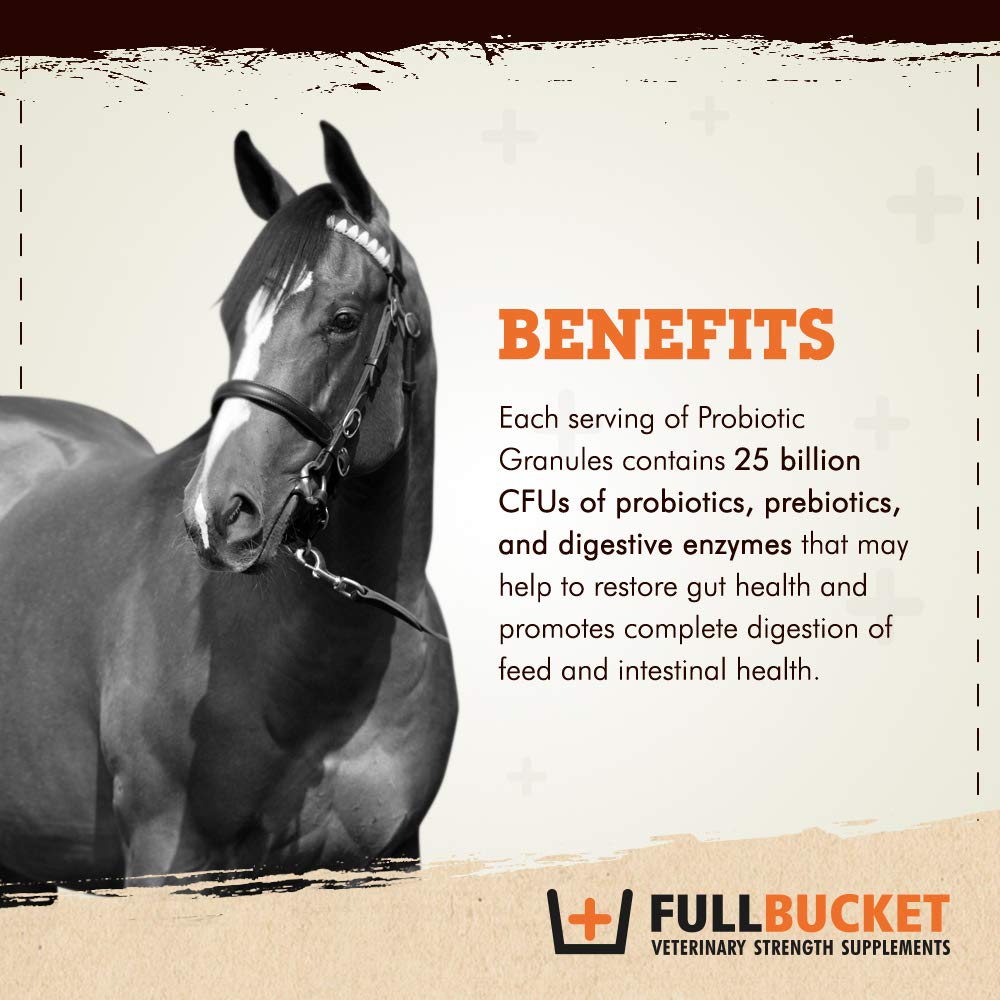 FullBucket cuillère-doseuse, dosage simple pour usage quotidien.