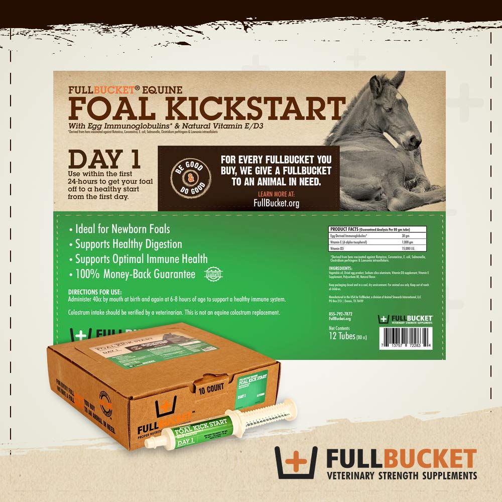 FullBucket Pâte Immunitaire - ingrédients naturels soutenant le début de vie du poulain