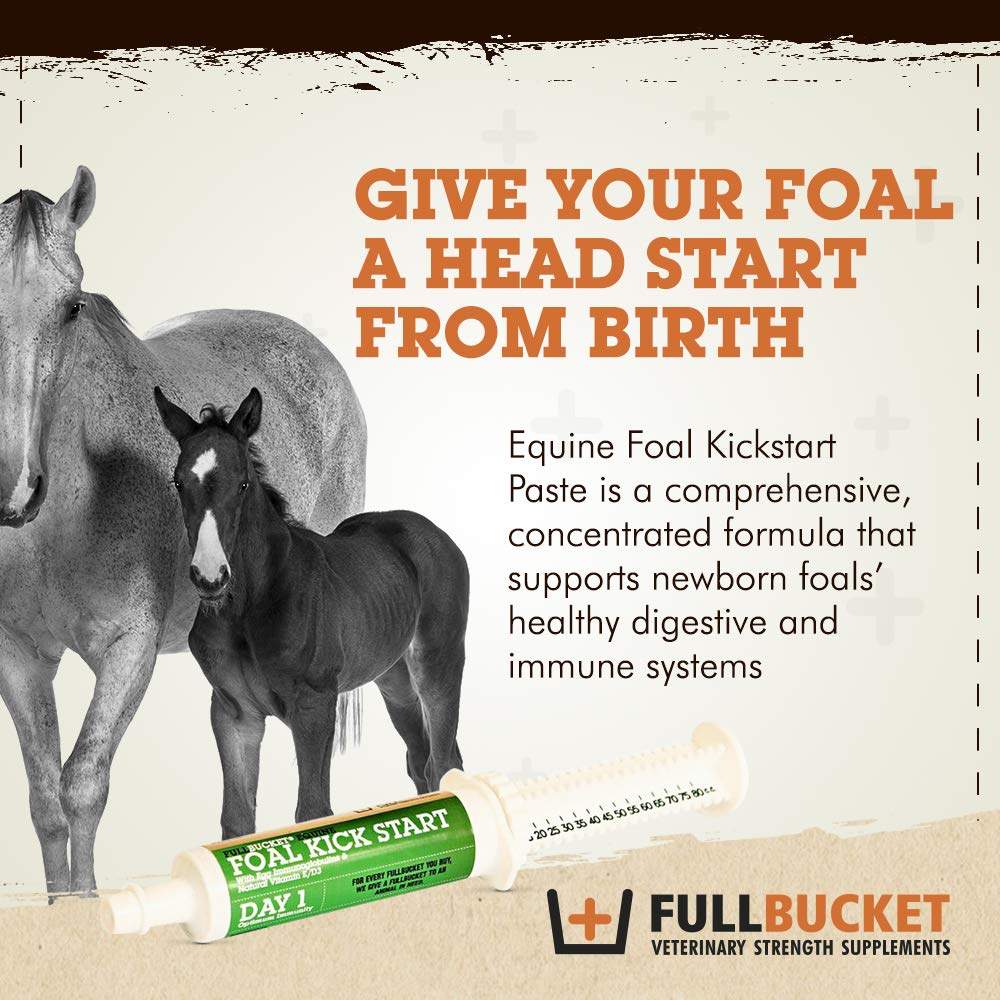 FullBucket Pâte Immunitaire - texture dense facilitant l'application sur le poulain