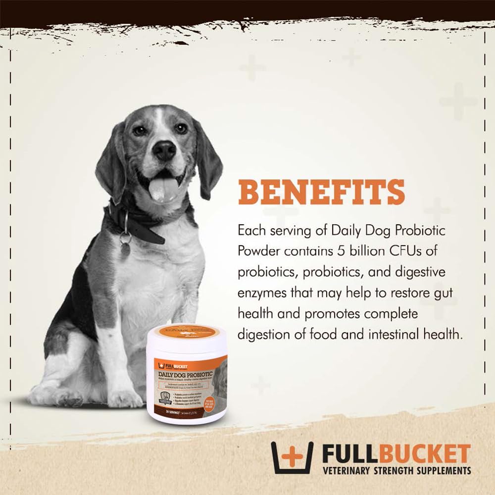 FullBucket Probiotique chien mesure dose pour administration simple