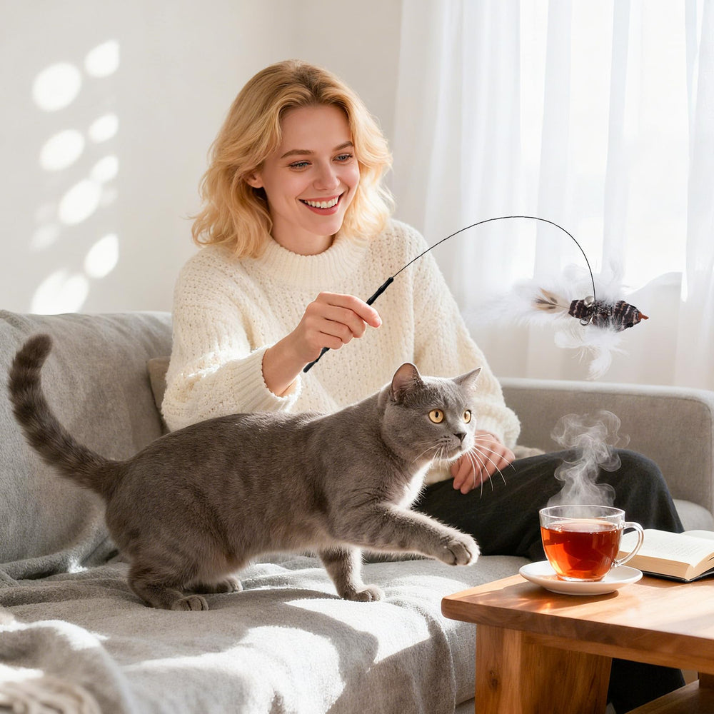 Fulushouxi set jeu interactif stimule activité physique et intellectuelle du chat.