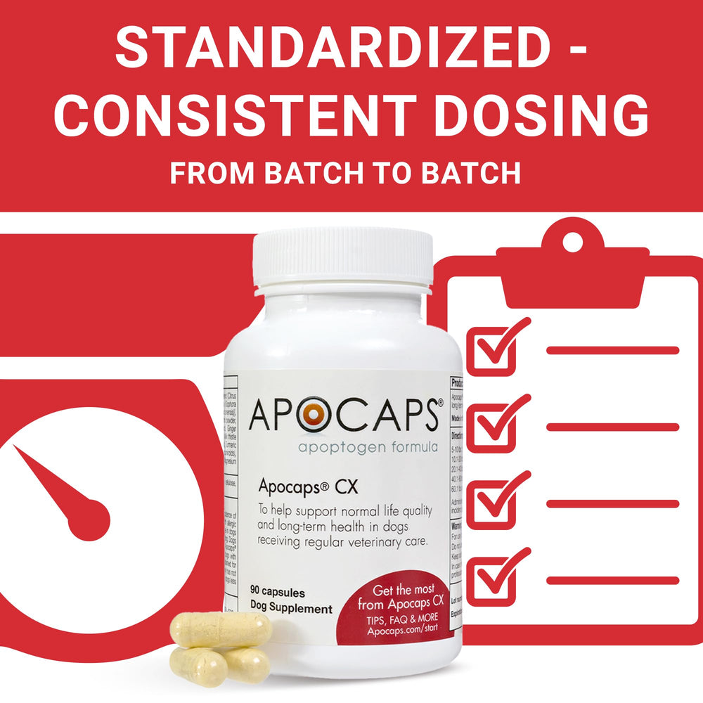 Functional Nutriments Apocaps CX – formulation adaptée aux chiens.