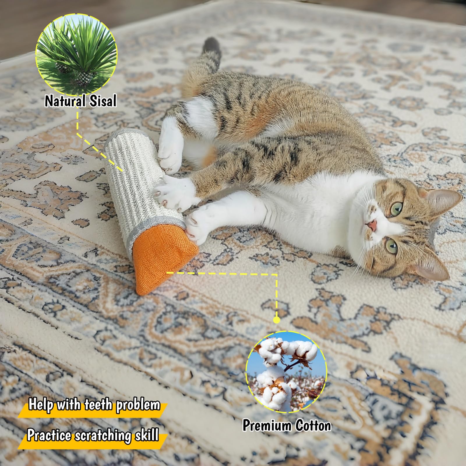 Infusion d’herbe à chat FuneeTop pour stimulation olfactive