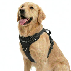 Harnais Funfox anti-traction pour chien grand format, promenades maîtrisées.