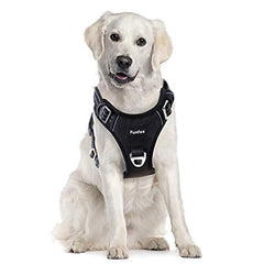 Harnais Funfox avec boucle arrière pour les trajets plus calmes et confortables.