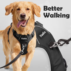 Harnais Funfox pour chien petit avec clip arrière, promenade plus détendue