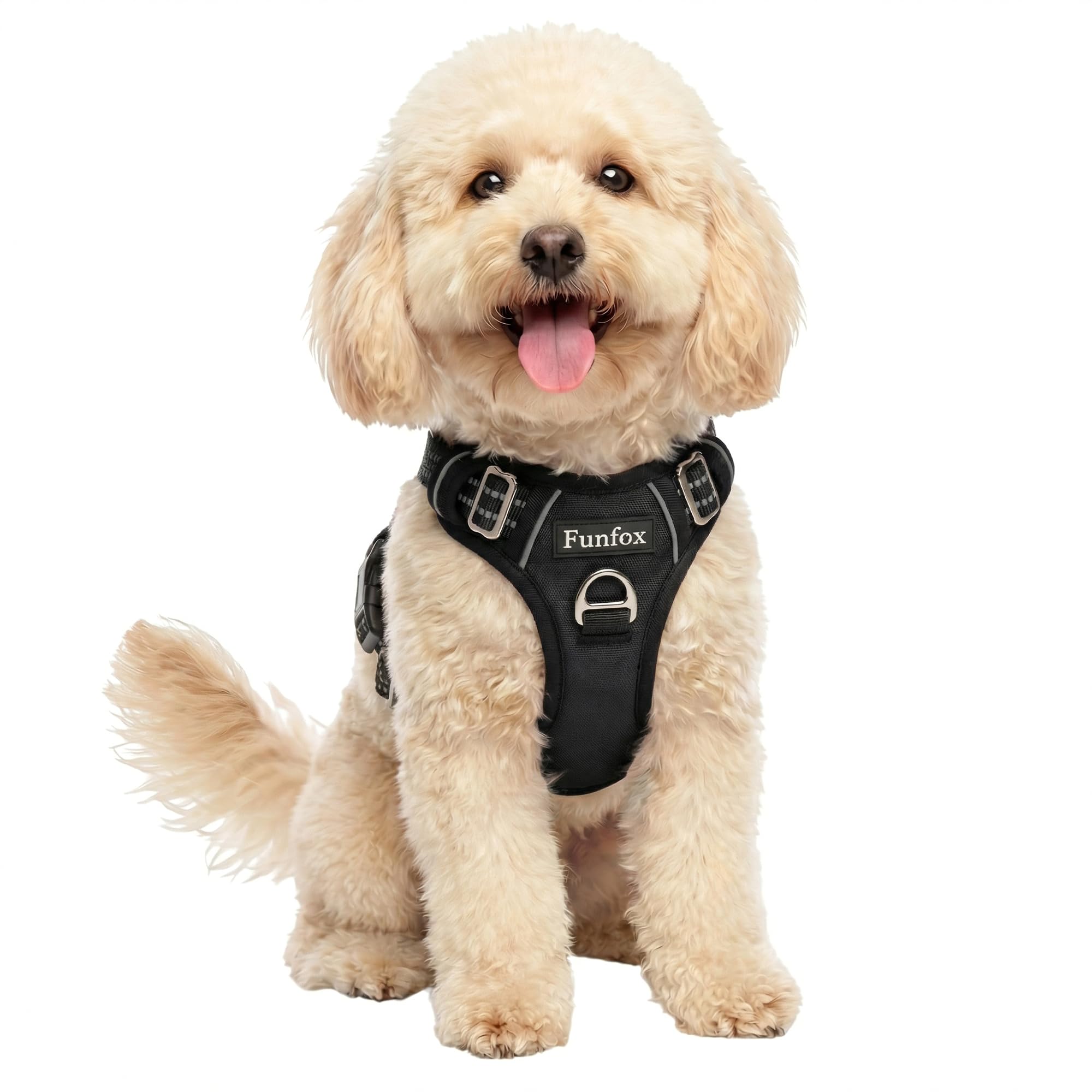 Harnais Funfox pour chien petit avec clip avant, contrôle directionnel lors des tirages