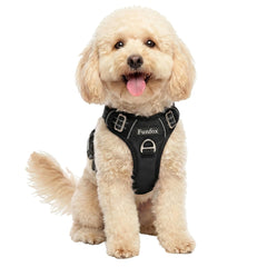 Harnais Funfox pour chien petit avec clip avant, contrôle directionnel lors des tirages
