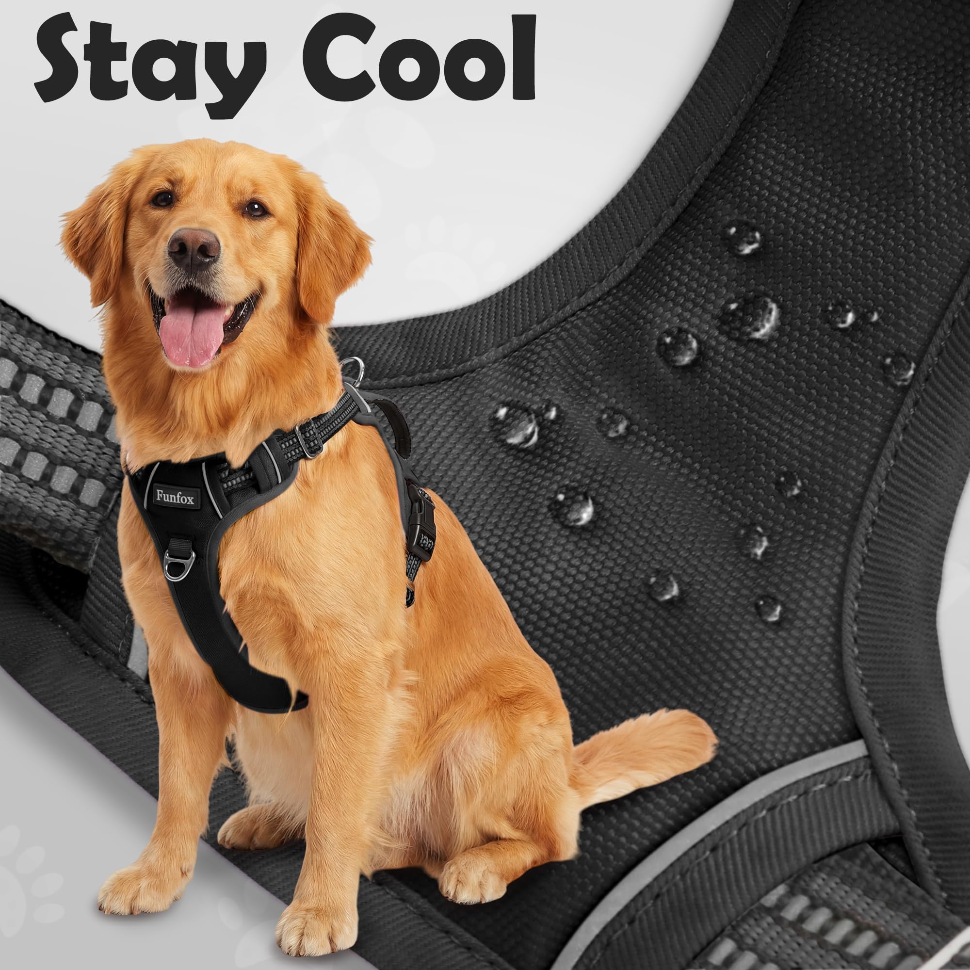 Harnais Funfox chien petit avec maille respirante et confort