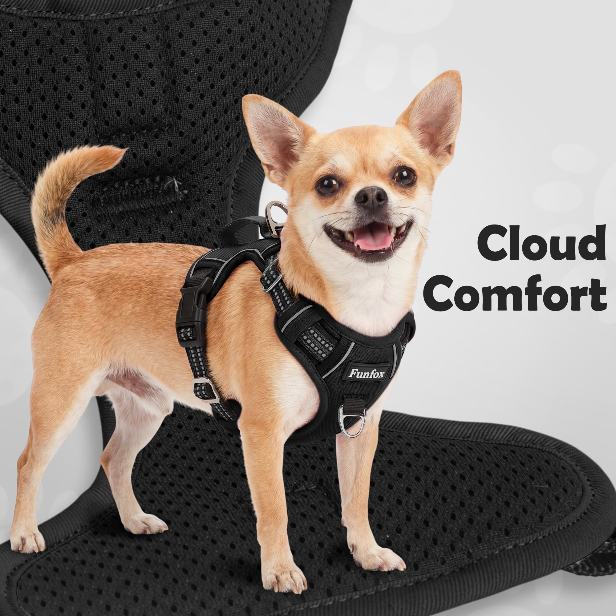 Harnais Funfox chien petit avec rembourrage doux pour le torse