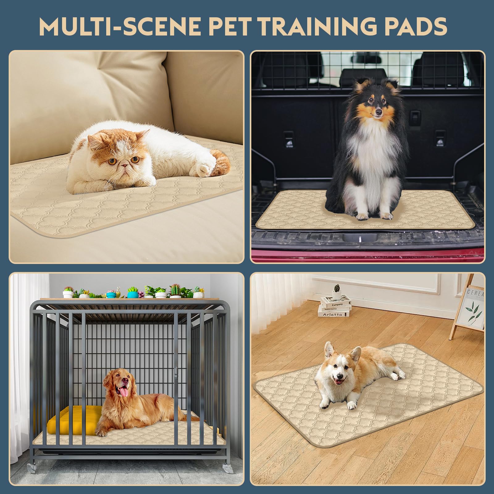 FunFurry ensemble tapis entraînement 4-pack, solution économique et pratique