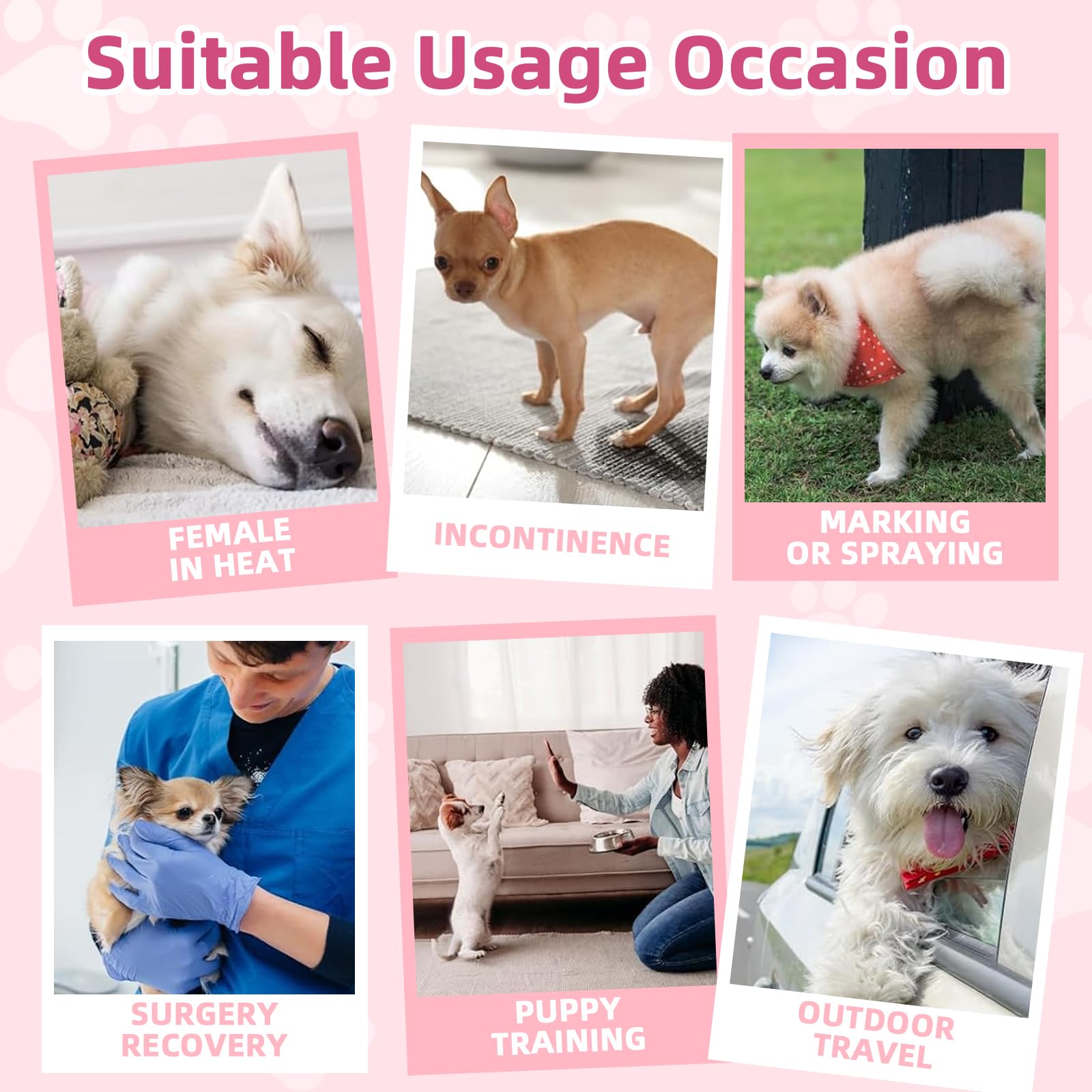Funliying couches-pour-chien-femelle: usages variés pour entraînement et chaleur.