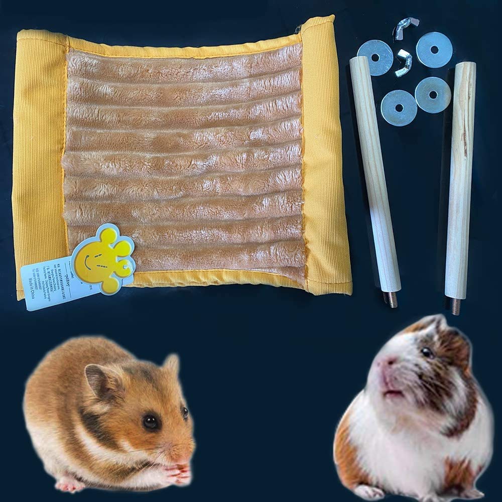 FunMove grimpe-et-exercice-petits-animaux encourage l’activité et l’exploration.