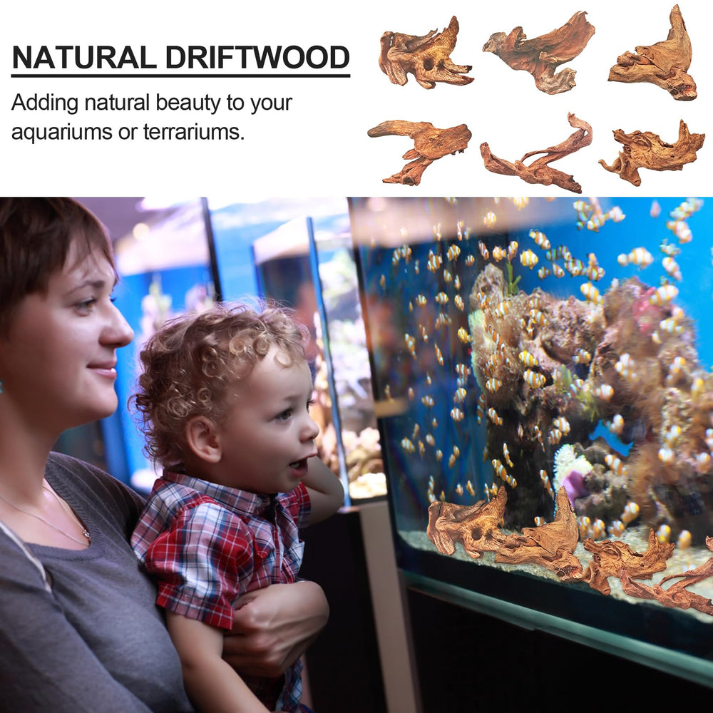 FUNOJOY branche bois flotté pour reptiles, offre refuges et zones de grignotage naturelles.