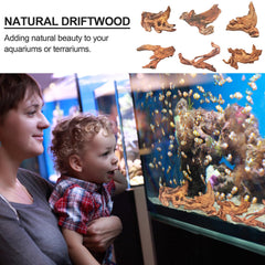 FUNOJOY branche bois flotté pour reptiles, offre refuges et zones de grignotage naturelles.