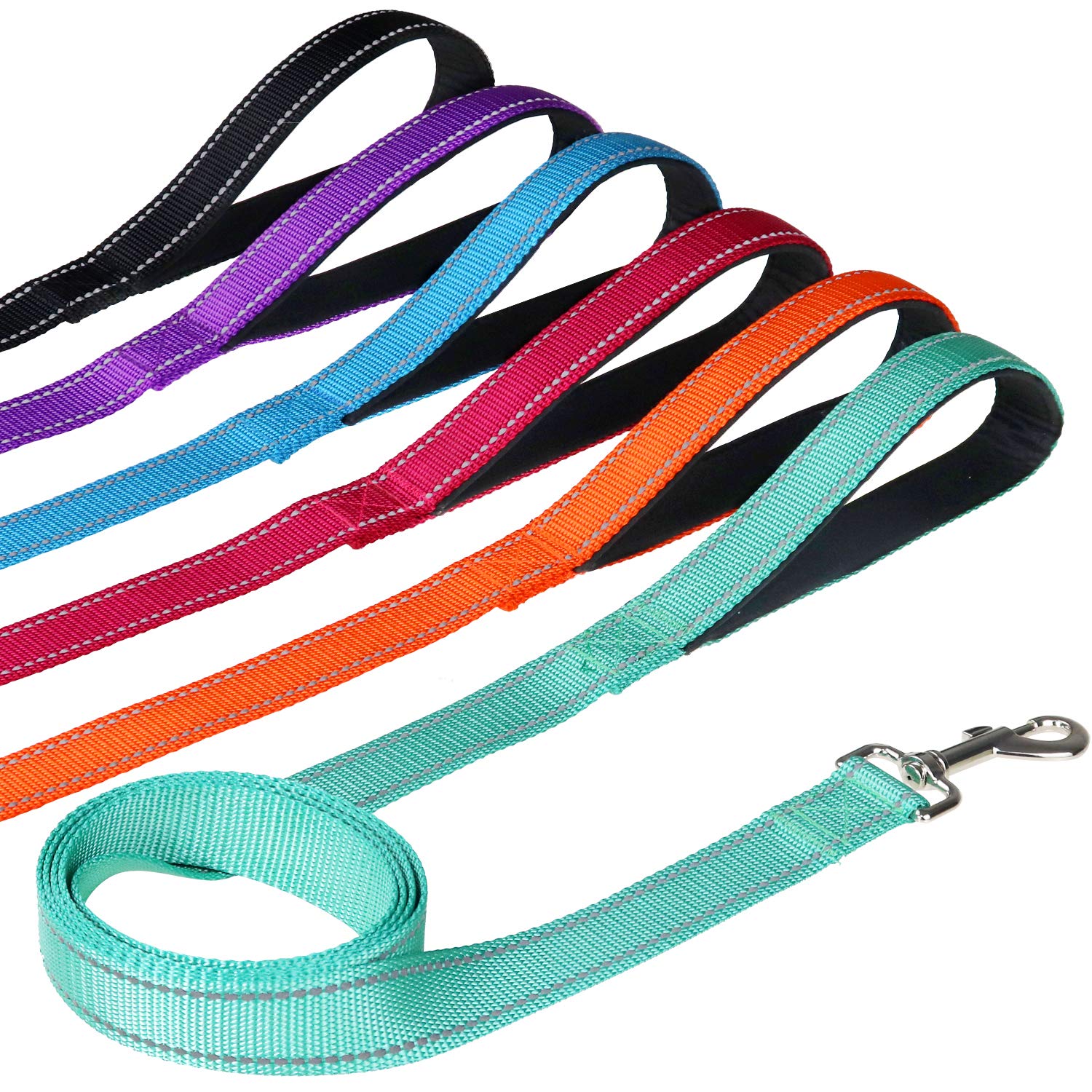 FunTags longe-chien bleu royal: nylon résistant pour promenades quotidiennes.