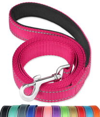 FunTags longe chien réfléchissante 6 pieds rose fluo pour promenades nocturnes sécurisées.