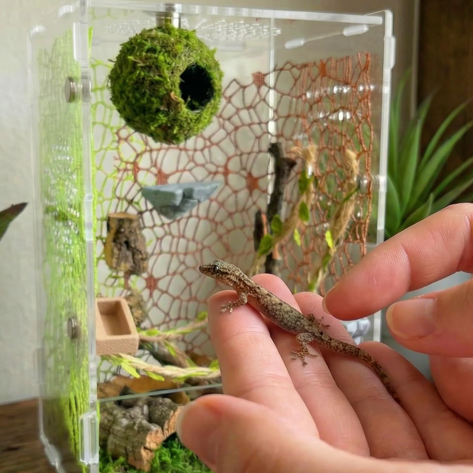 Funtinshdy deco-habitat-foret-naturel inspire l’exploration naturelle