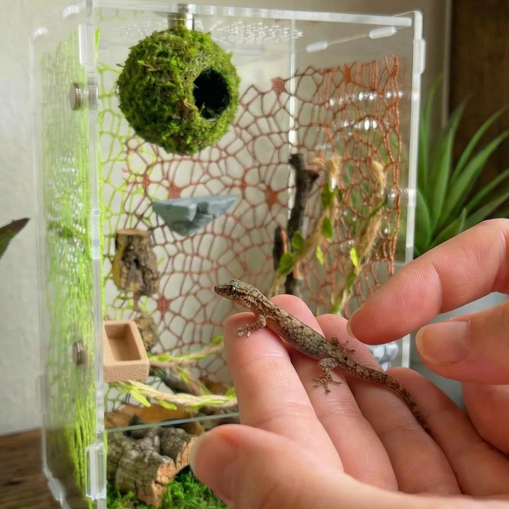 Funtinshdy deco-habitat-foret-naturel inspire l’exploration naturelle