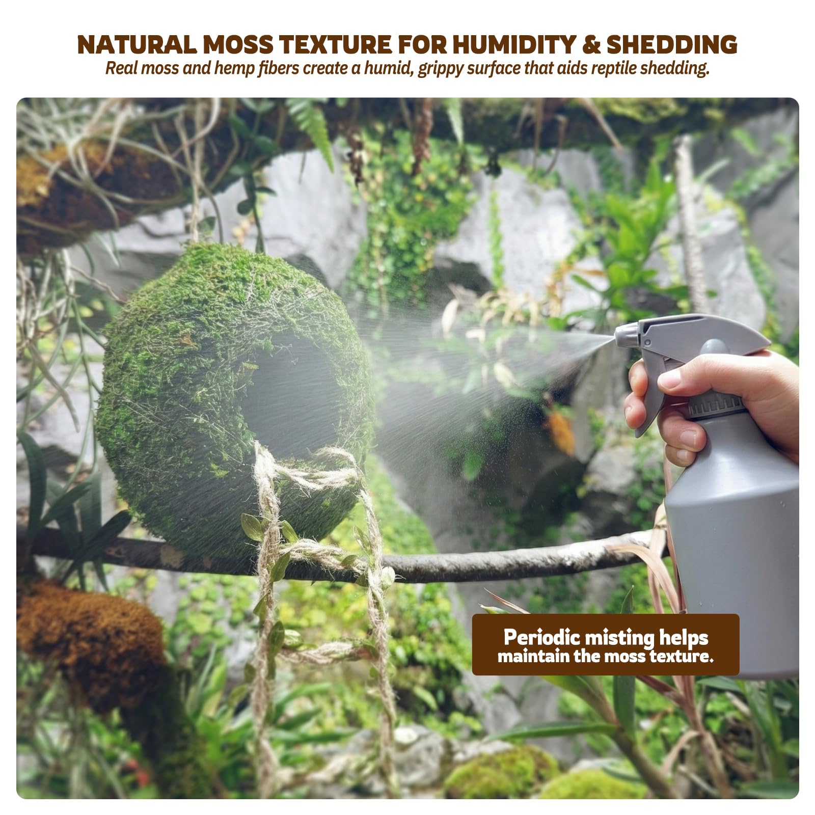 Funtinshdy vue-globale, cadre de terrarium enrichi et stimulants.