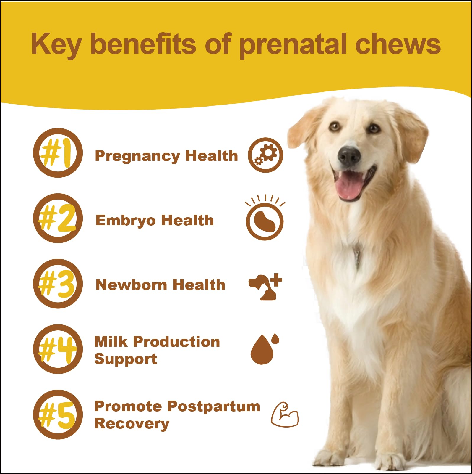 Chiots en croissance soutenus par les gommes prénatales Fur Bby Wellness