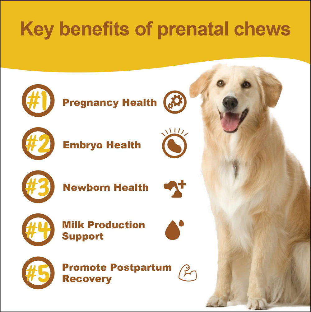Chiots en croissance soutenus par les gommes prénatales Fur Bby Wellness