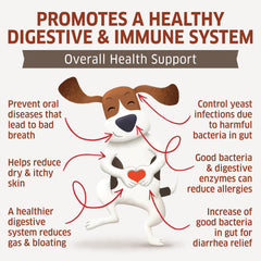 fur Belly Probiotiques pour chiens, bouchées prébiotiques favorisant l’équilibre intestinal.