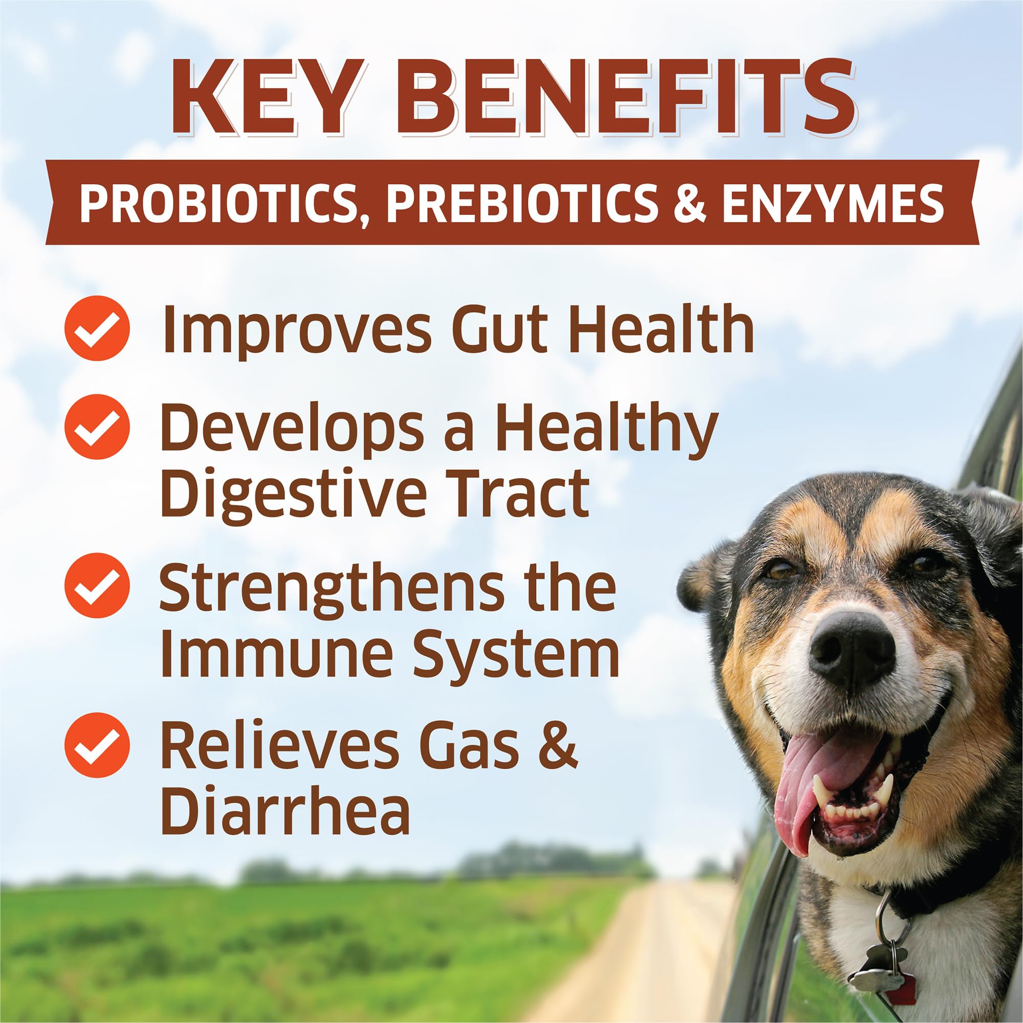 fur Belly Probiotiques pour chiens, gommes faciles à donner pour digestion et confort.