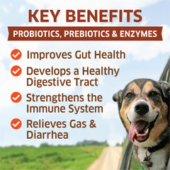 fur Belly Probiotiques pour chiens, gommes faciles à donner pour digestion et confort.