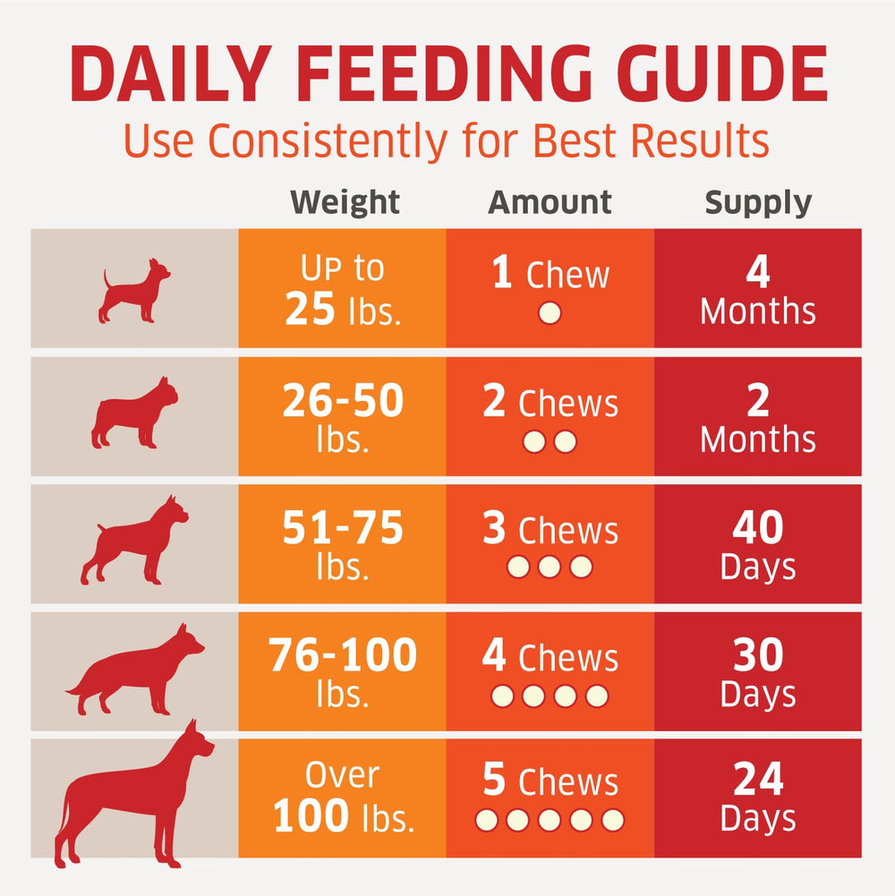 fur Belly Probiotiques pour chiens, soutien immunitaire potentiel et gestion des irritations.