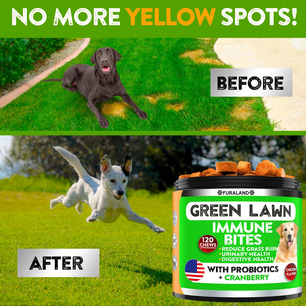 Bouchons urine-chien FURALAND : soutien potentiel à l'équilibre urinaire.