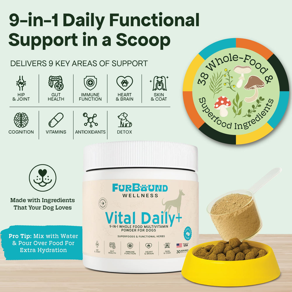 Bouillon d'os et nutriments FurBound, complexe et savoureux.