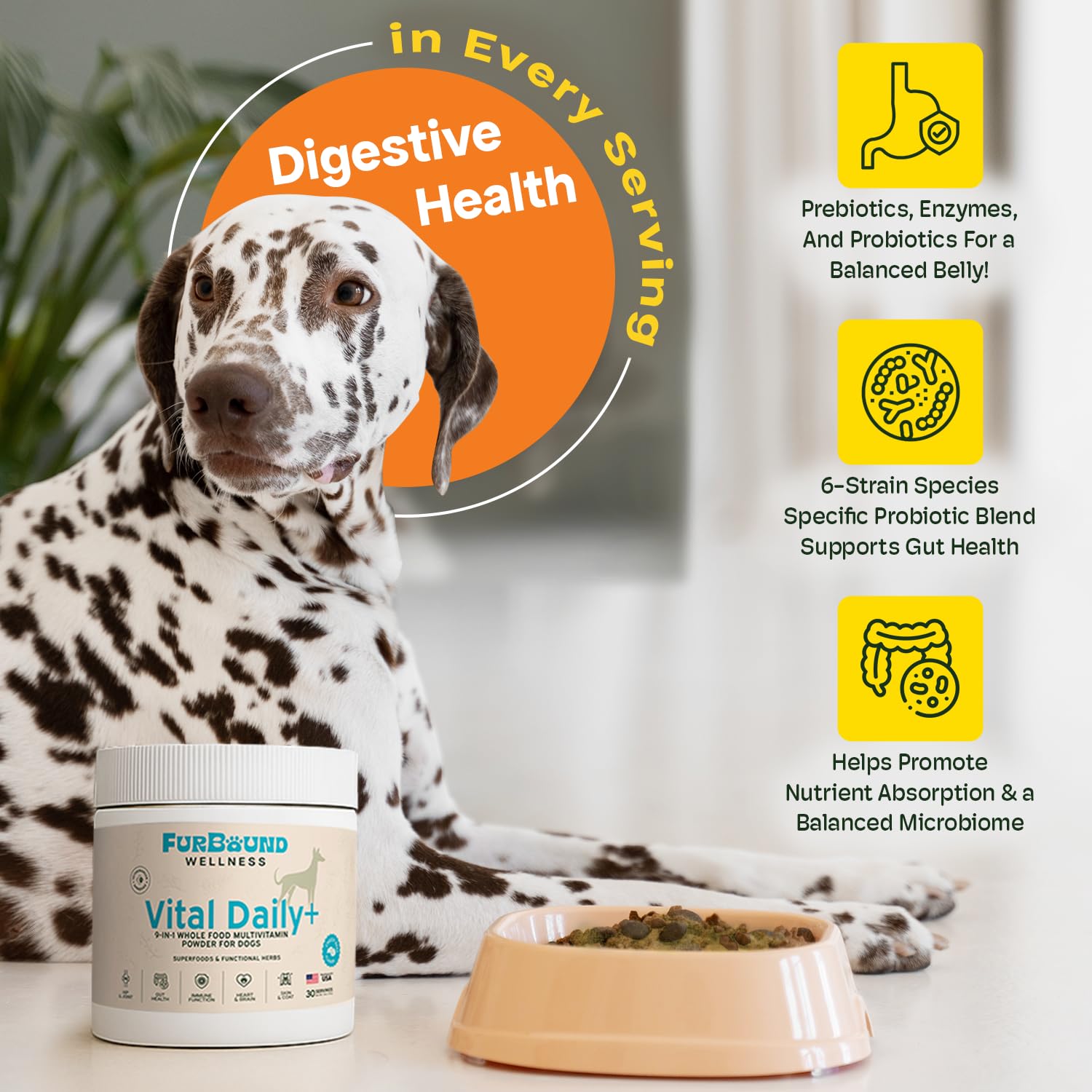 Probiotiques et enzymes digestives FurBound pour une digestion équilibrée.
