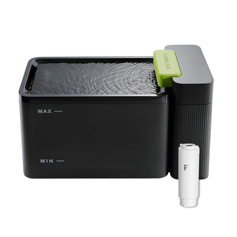Distributeur d'eau Furbulous Propre et Sûre noir avec ultrafiltration pour une eau potable.