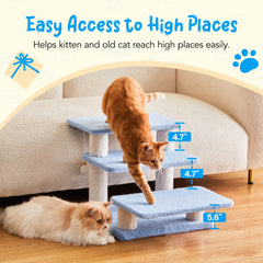 Furcato Marches larges, escaliers bleu, offrent douceur et stabilité.