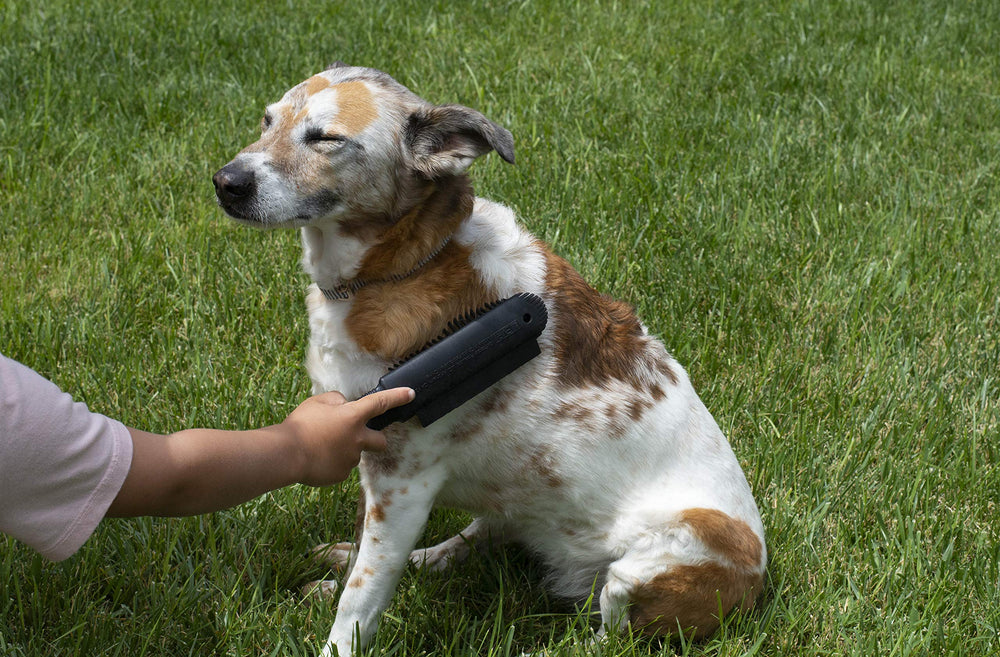 FURemover Plus : brosse douce pour chiens et chats pour un soin autour du visage.