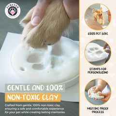 FUREVER MOMENTS peintures-base-eau: couleurs faciles et sûres pour artisanat