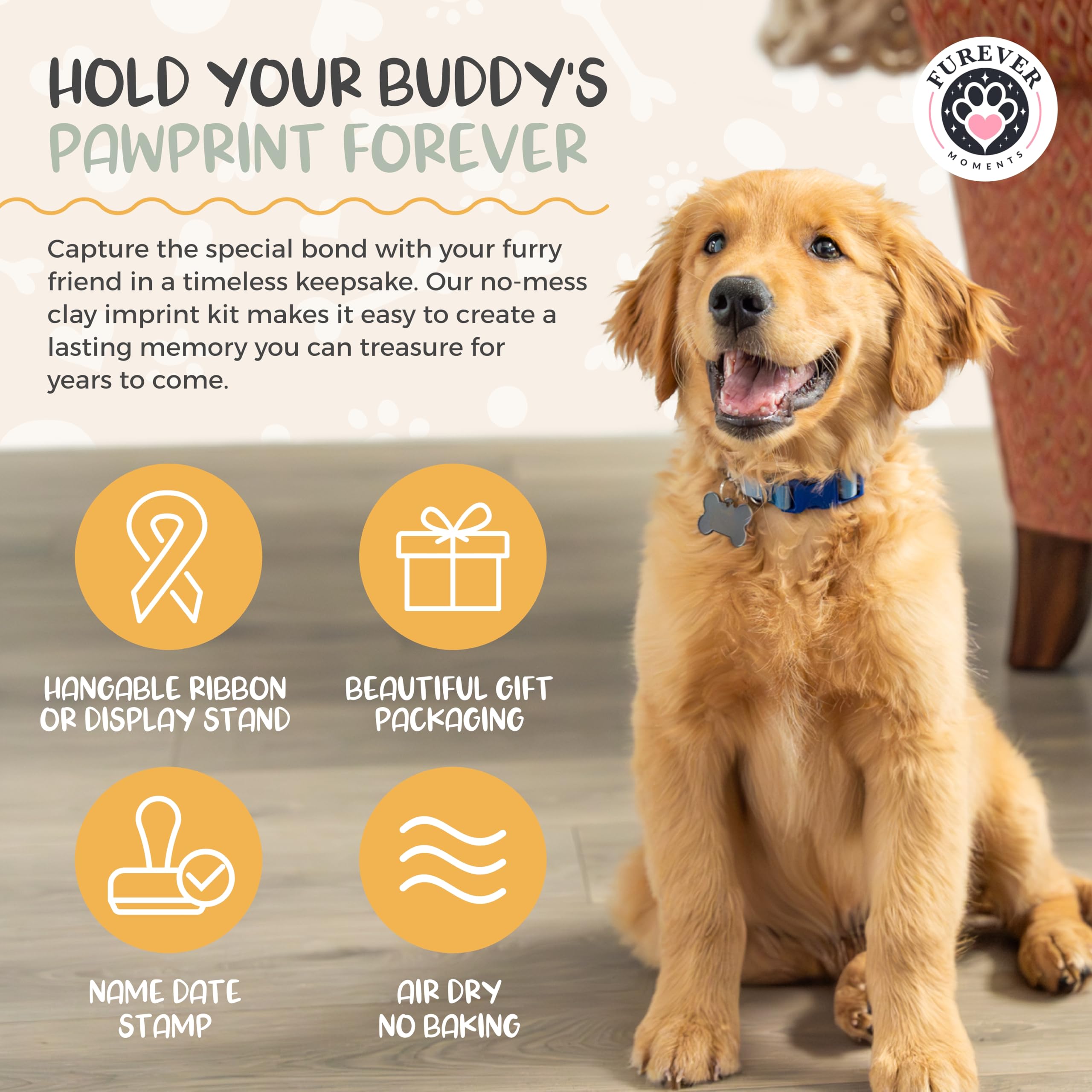 FUREVER MOMENTS pinceaux: outils précis pour des détails nets