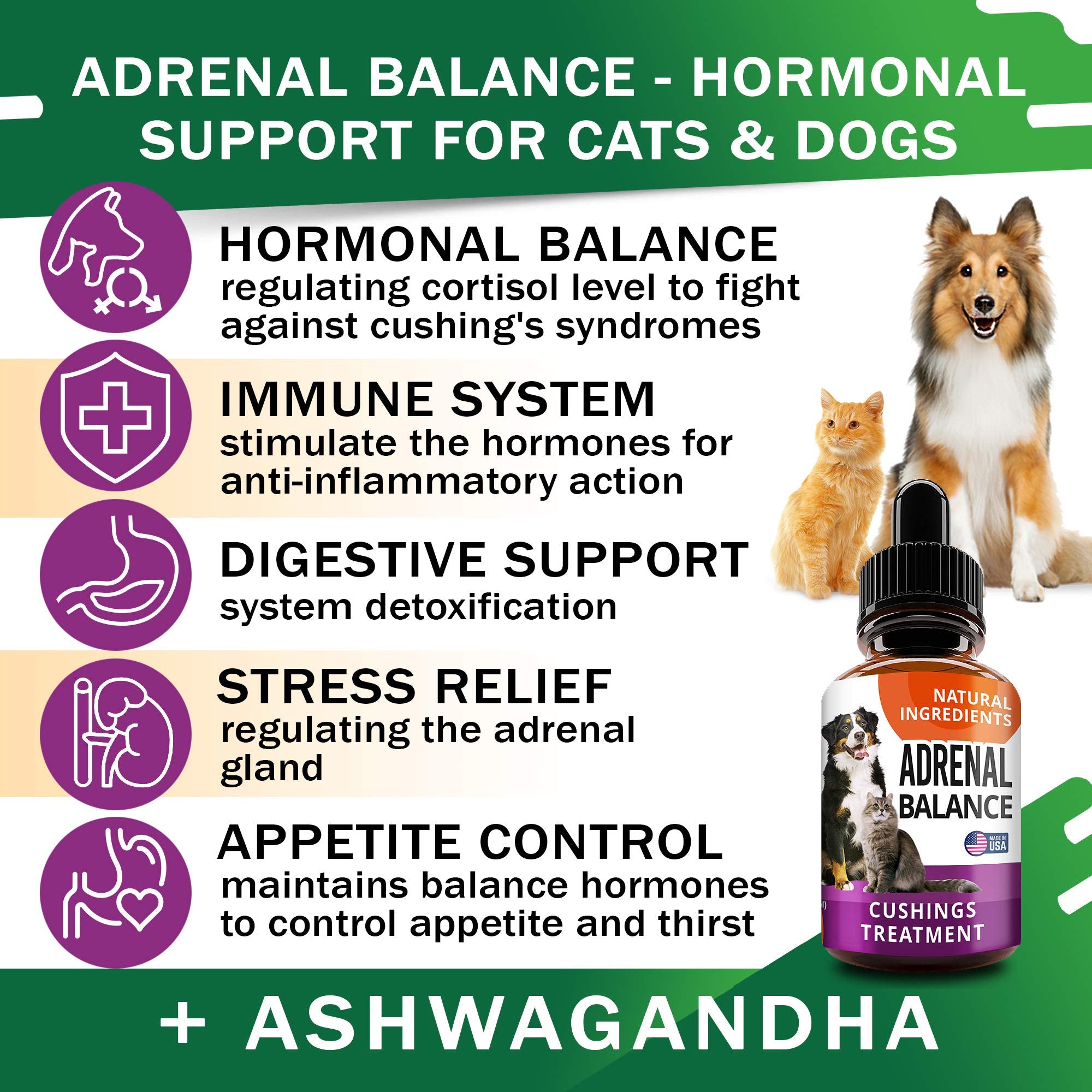 Adrenal Balance – pipette facilitant l’administration quotidienne.