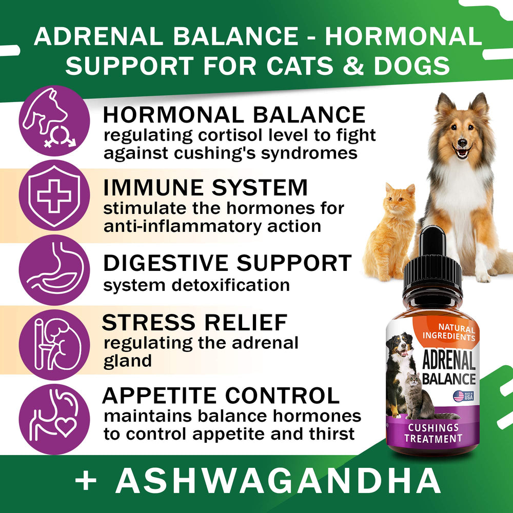 Adrenal Balance – pipette facilitant l’administration quotidienne.