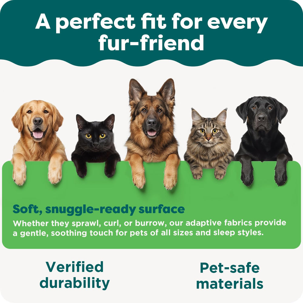 Furhaven base anti-glisse stable sur tous les sols.